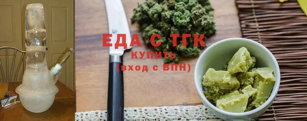 хмурый Аркадак