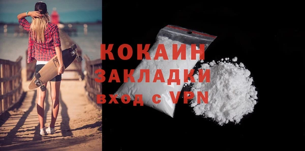 хмурый Аркадак