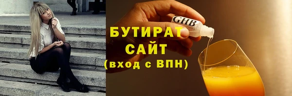 хмурый Аркадак