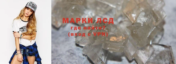 хмурый Аркадак