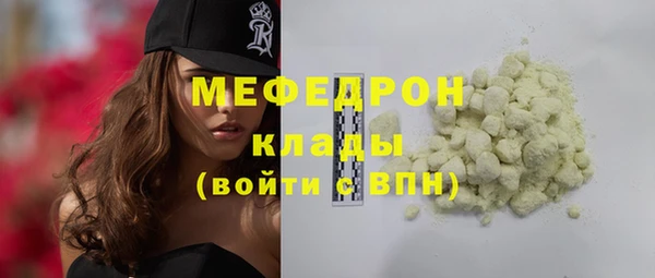 хмурый Аркадак