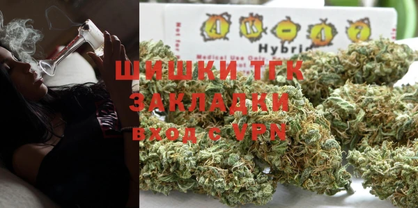 хмурый Аркадак