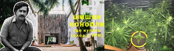 хмурый Аркадак