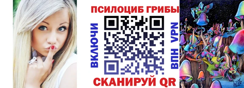 мега вход  Таруса  Галлюциногенные грибы Psilocybe  продажа наркотиков 